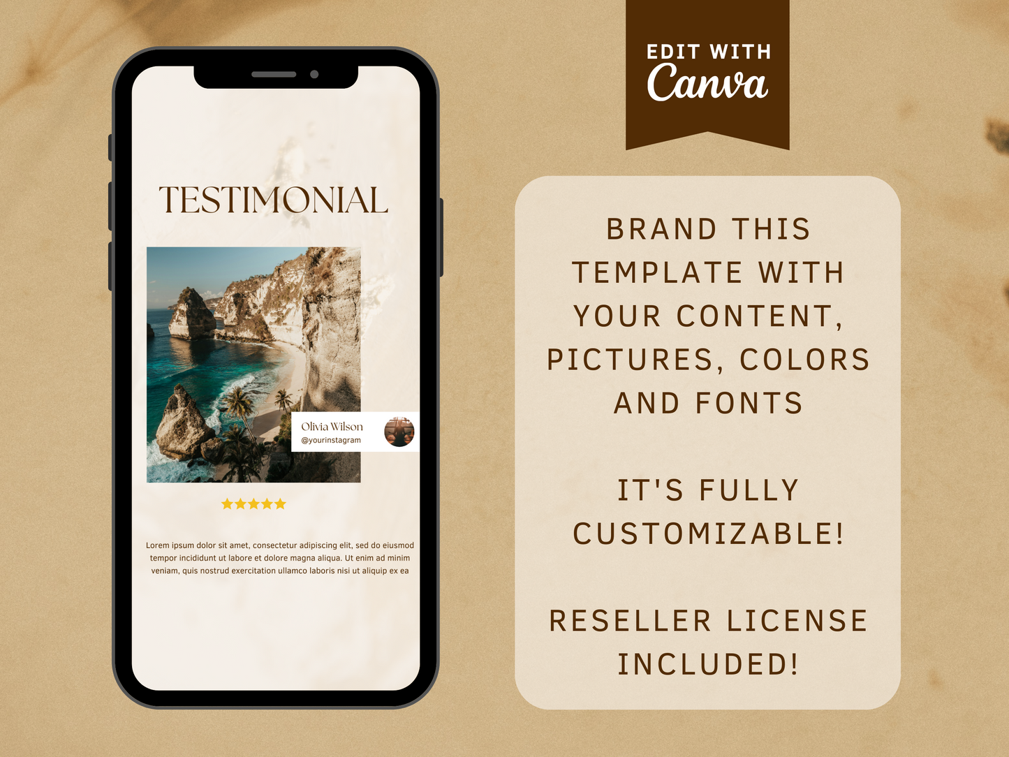 Business Promotion Instagram Stories, PLR Template, Edit in Canva