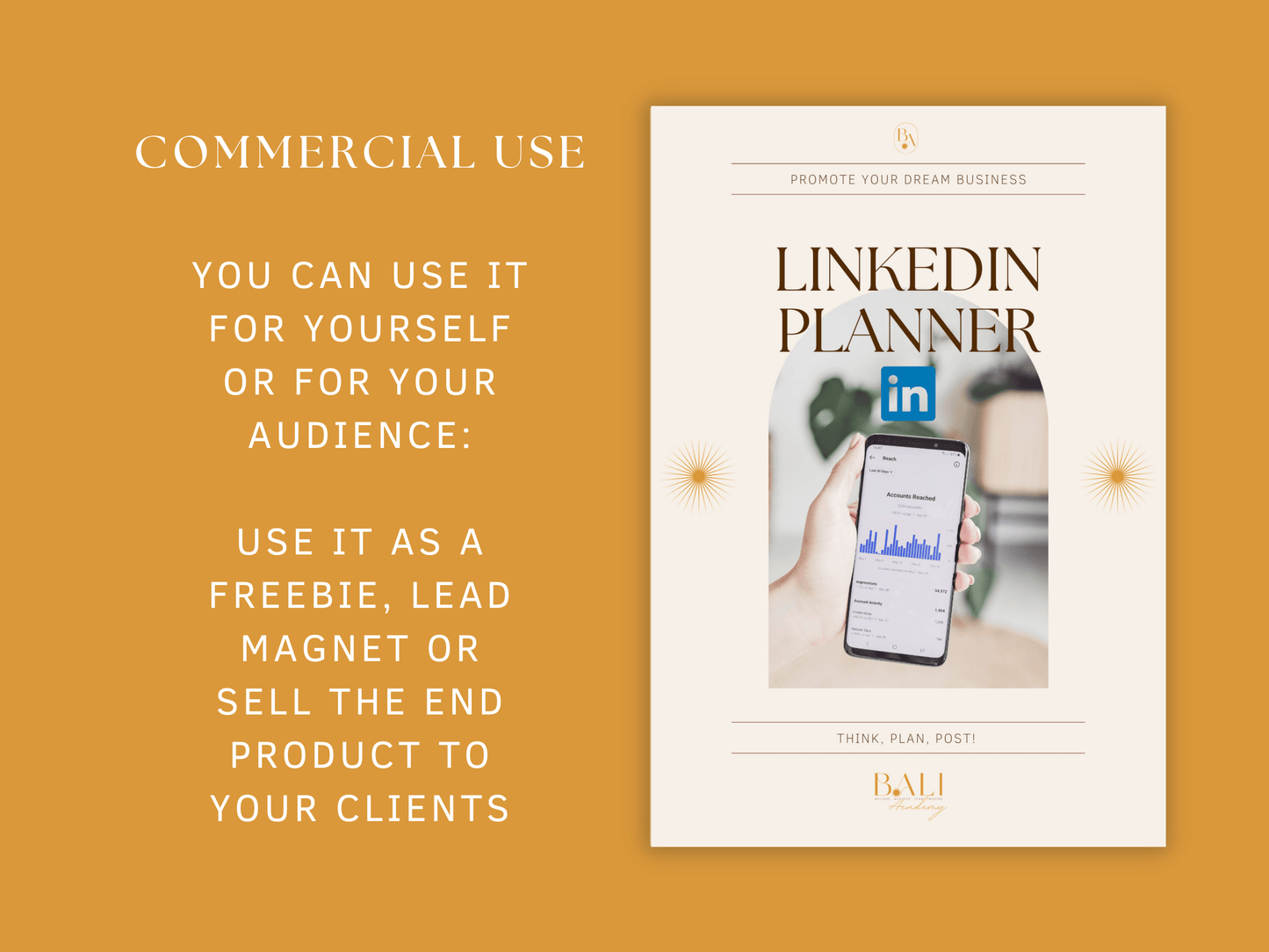 LinkedIn Planner Template Commercial Use