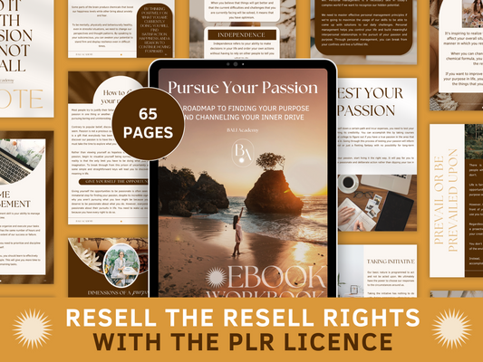 Pursue Your Passion PLR eBook & Workbook for resell with private label rights. The roadmap to finding your purpose and channeling your inner drive. Tablet mockup and aesthetic and boho eBook section templates in the background for content creators and business owners. It's editable in Canva.