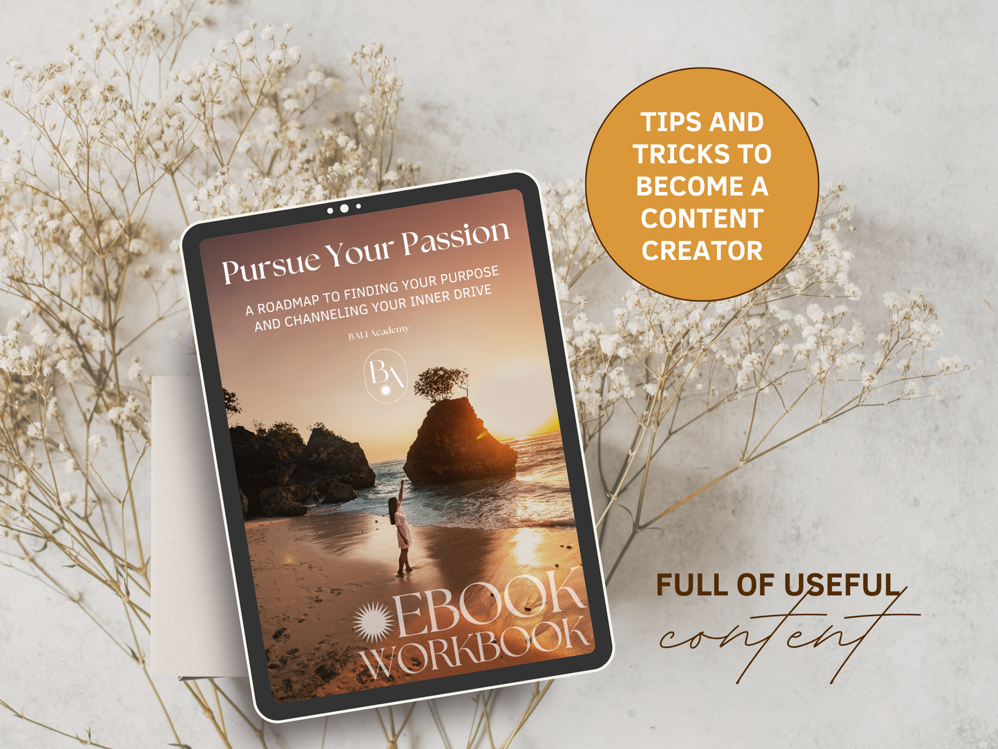 Pursue Your Passion PLR eBook & Workbook - The roadmap to finding your purpose and channeling your inner drive. It's full of useful content and tips and tricks to become a content creator. It's editable in Canva.