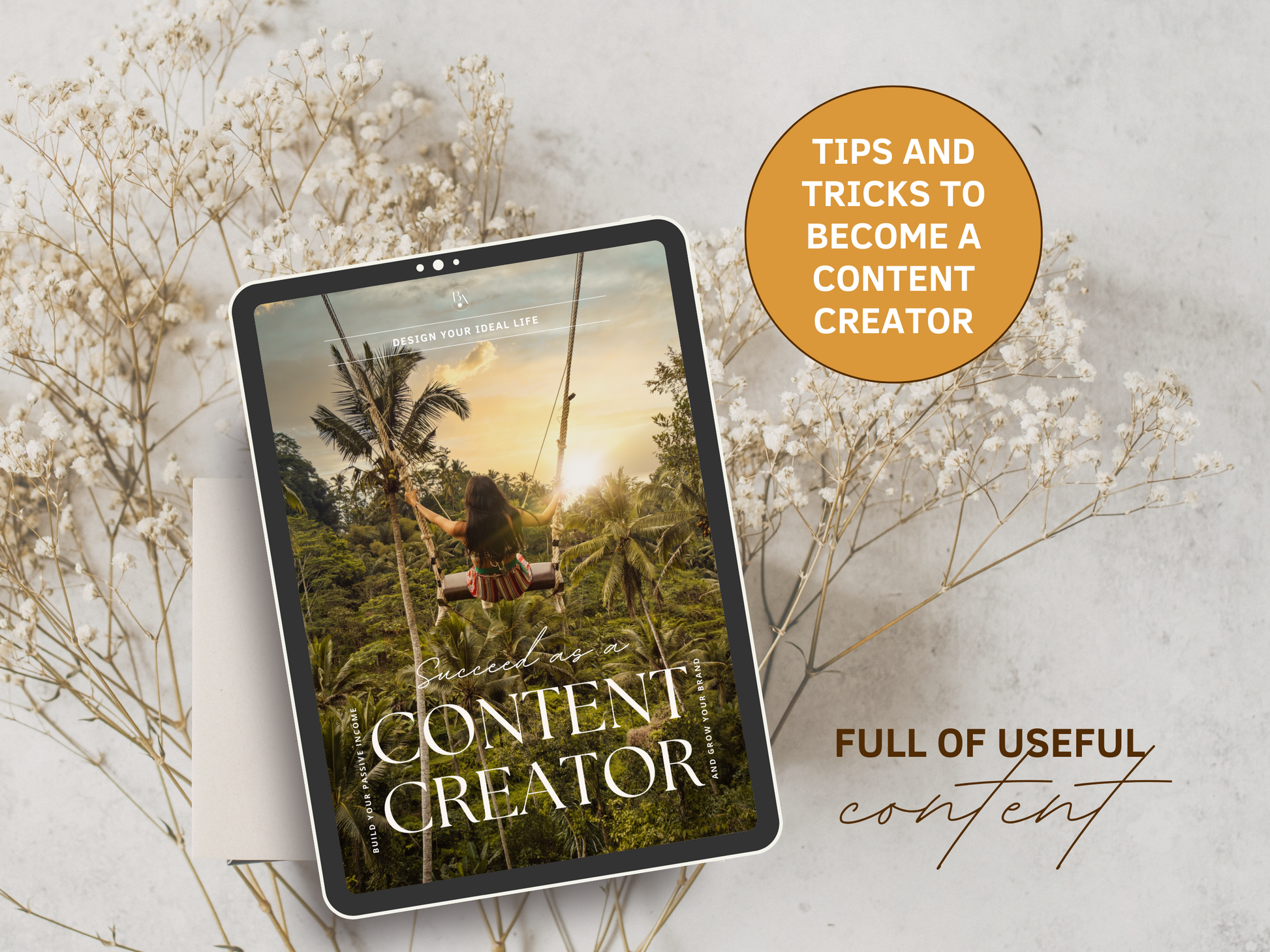 Succeed as a Content Creator PLR eBook. Design your ideal life! This eBook is full of useful content and tips and tricks to become a content creator. It's editable in Canva.